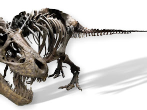 earth experience - middle tennessee museum of natural history