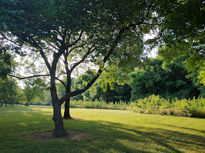 All Star Seal & Stripe asphalt maintenance in Brentwood, TN showcasing seal coating and striping services.