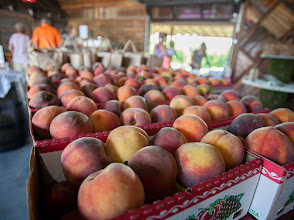 breeden's orchard, unnamed